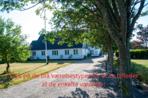 Æblehaven in Samsø